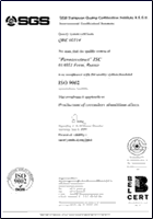 SGS-ISO9002 Certificate 