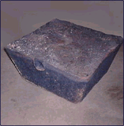 700 kg sow